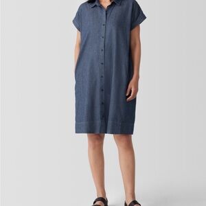 Eileen Fisher Linen Denim Dress